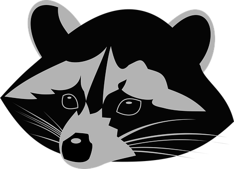 Racoon PNG Image
