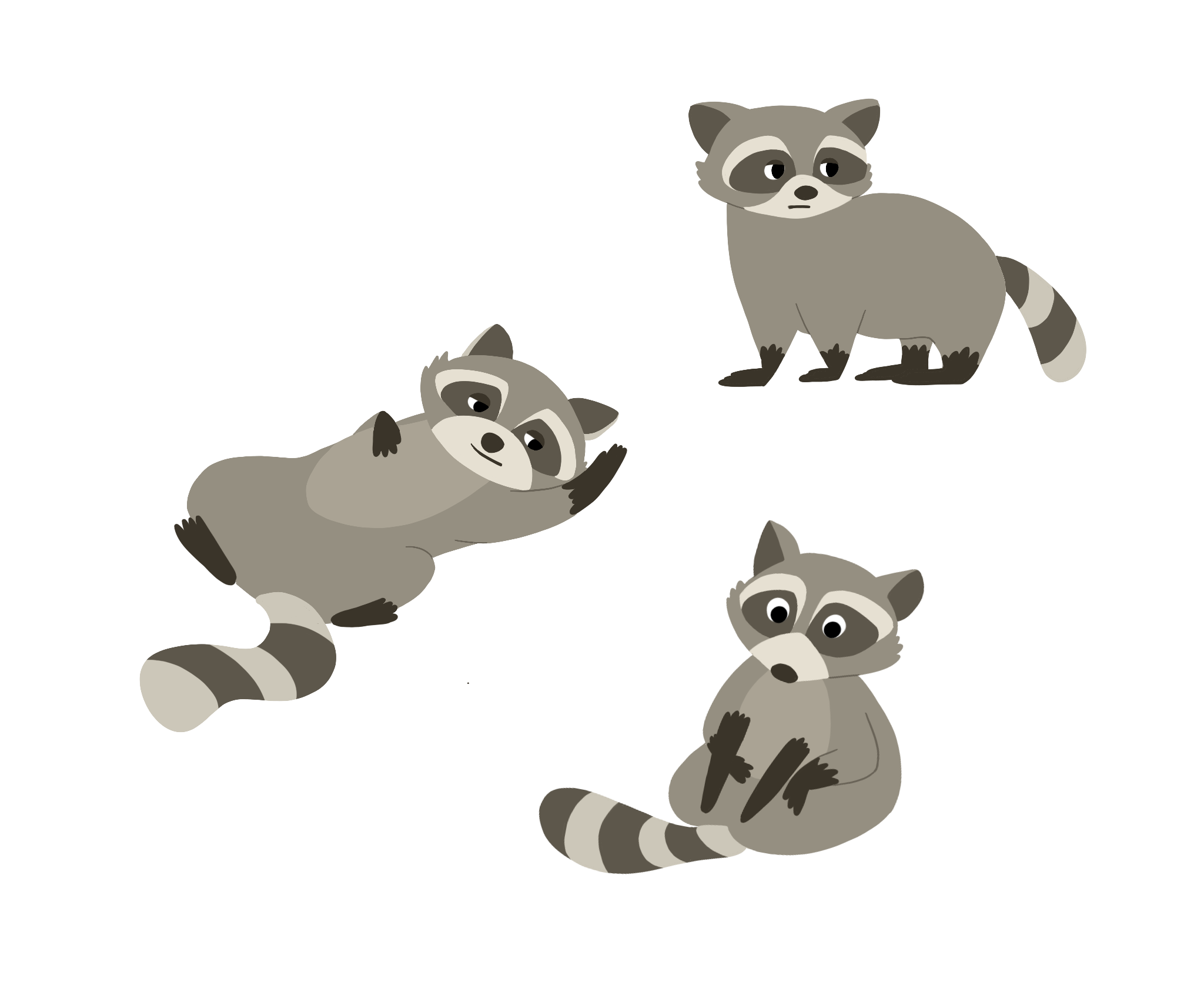 Racoon PNG Photo