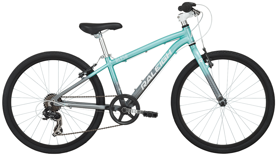 Raleigh Bicycle Company PNG