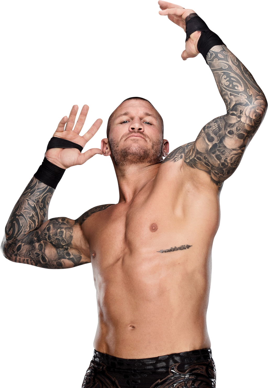 Randy Orton PNG Isolated Pic