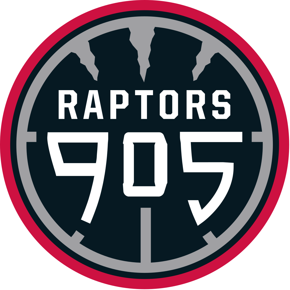 Raptors 905 PNG