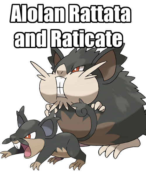 Raticate Pokemon PNG Picture