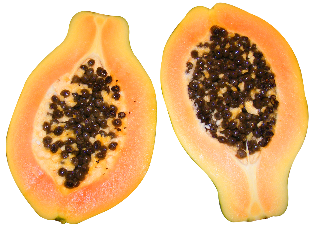 Raw papaya PNG File