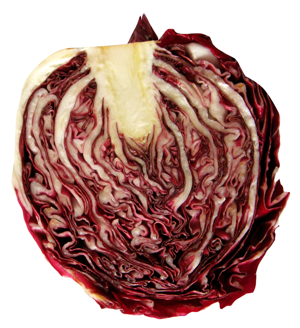 Red cabbage PNG Clipart