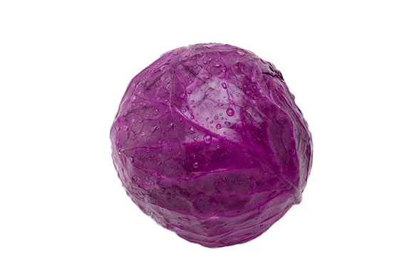 Red cabbage PNG File