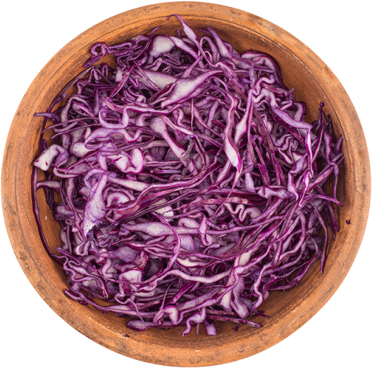 Red cabbage PNG Free Download