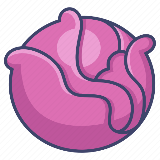 Red cabbage PNG HD Isolated