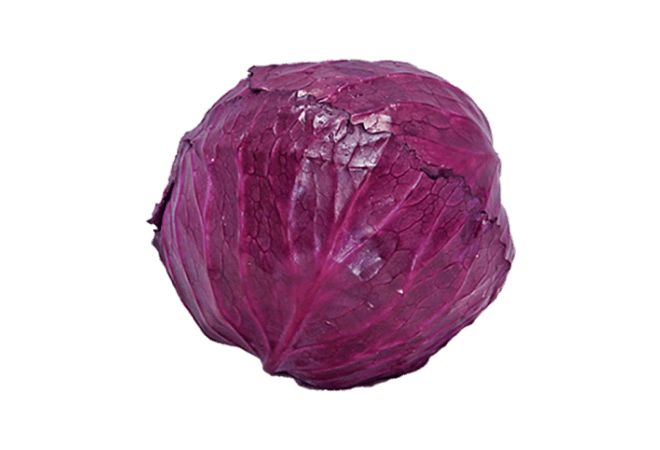 Red cabbage PNG HD