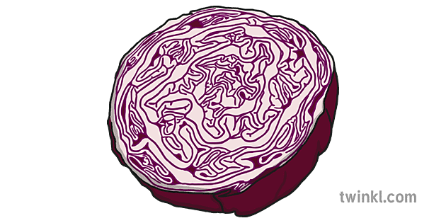 Red cabbage PNG Image