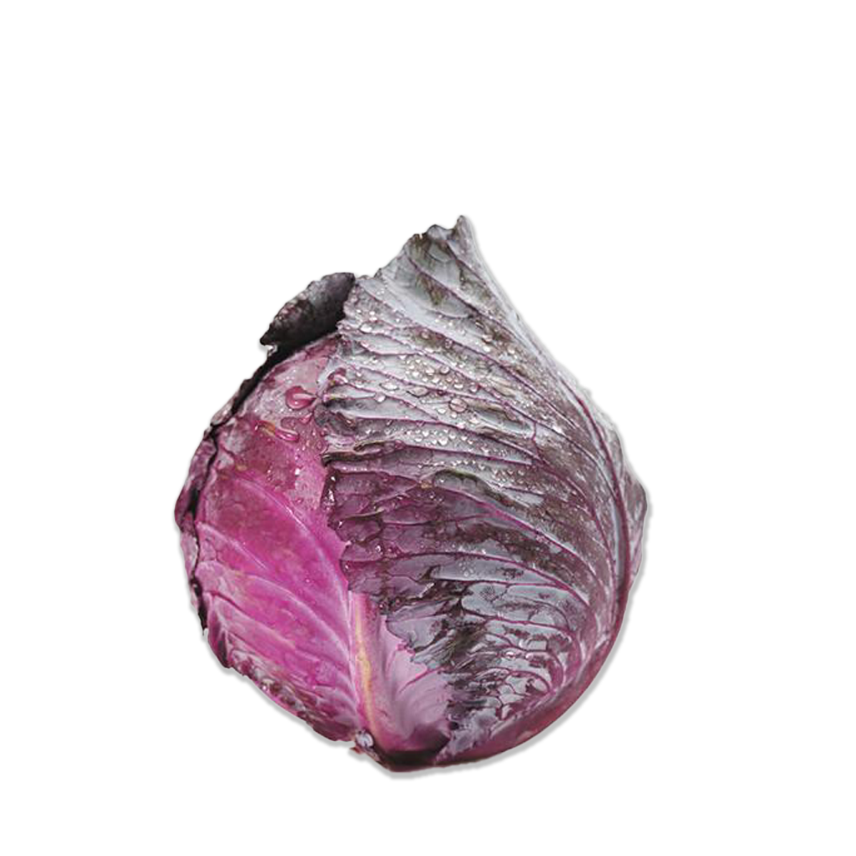 Red cabbage PNG Isolated HD