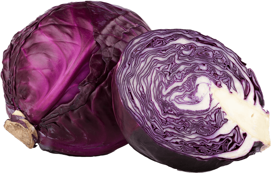 Red cabbage PNG Isolated Photos