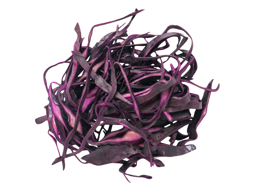 Red cabbage PNG Isolated Pic