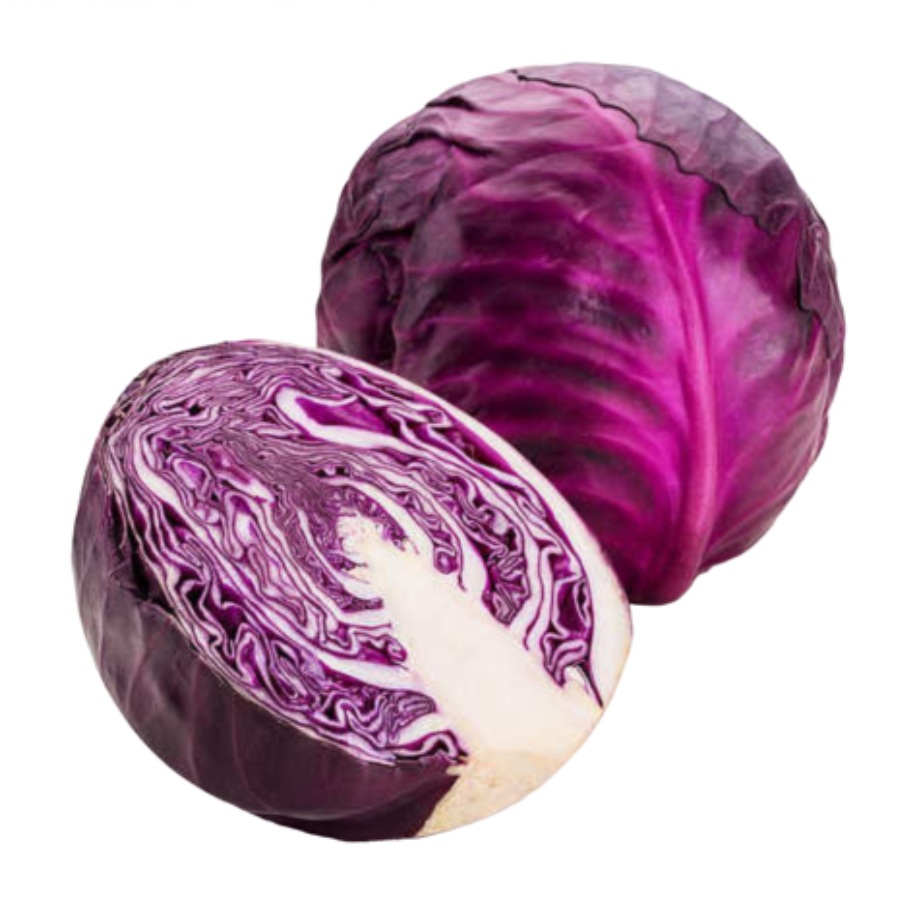 Red cabbage PNG