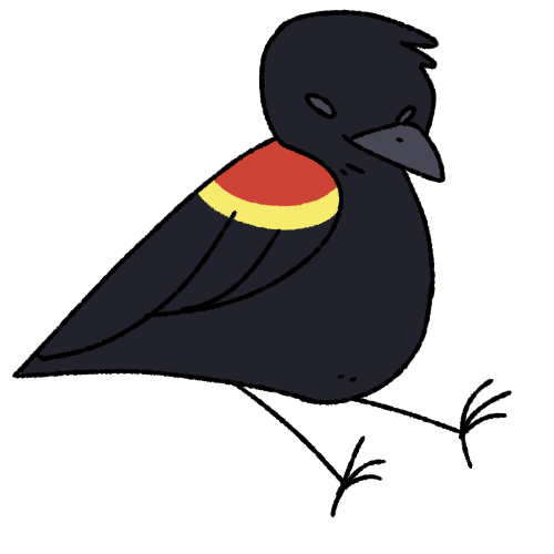 Red-winged Blackbird PNG Isolated HD