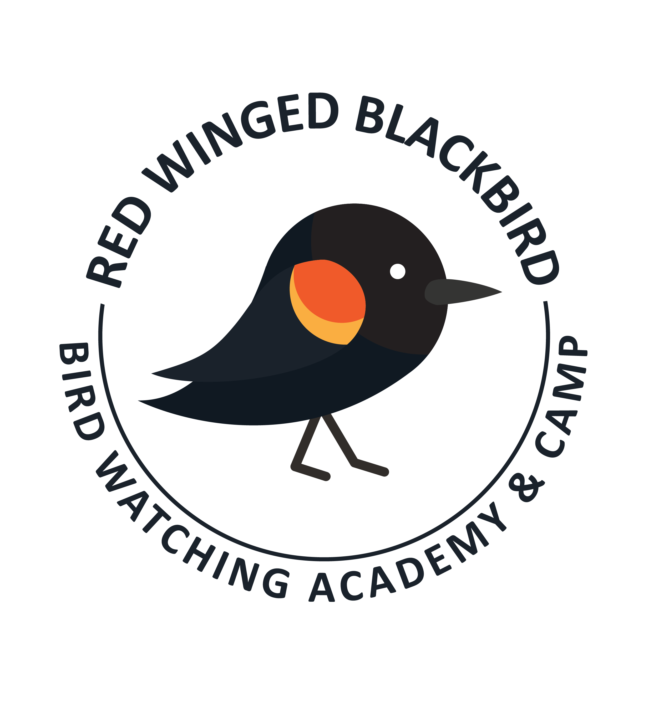 Red-winged Blackbird PNG Transparent