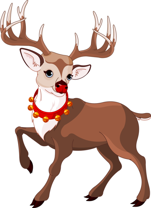 Reindeer Transparent Isolated Images PNG