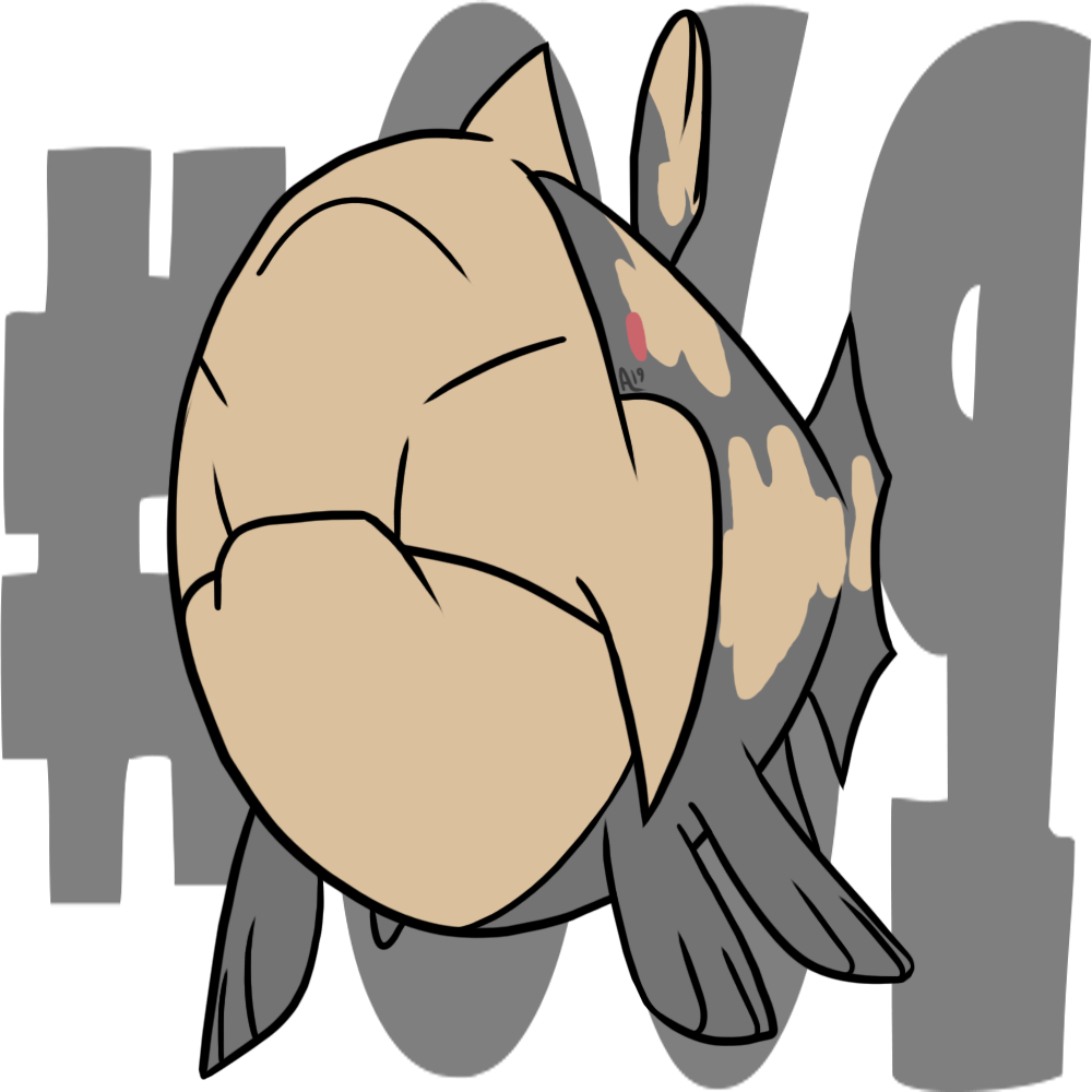 Relicanth Pokemon PNG HD