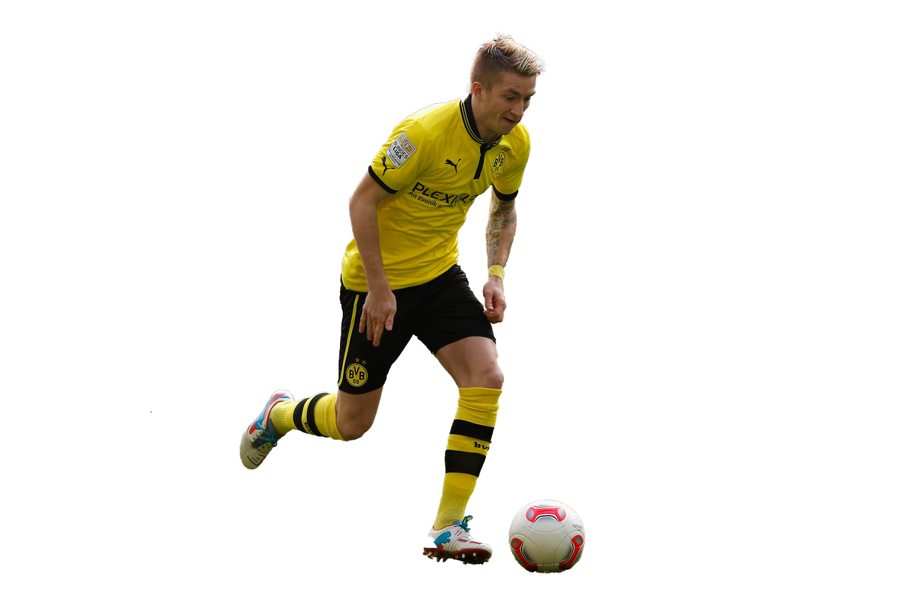 Reus PNG Isolated Pic