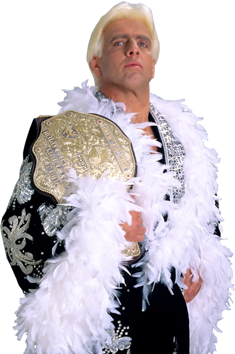 Ric Flair PNG