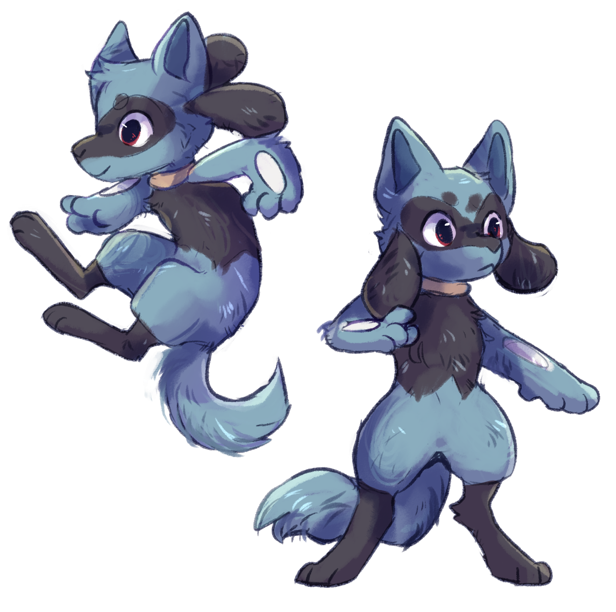 Riolu Pokemon Background Isolated PNG