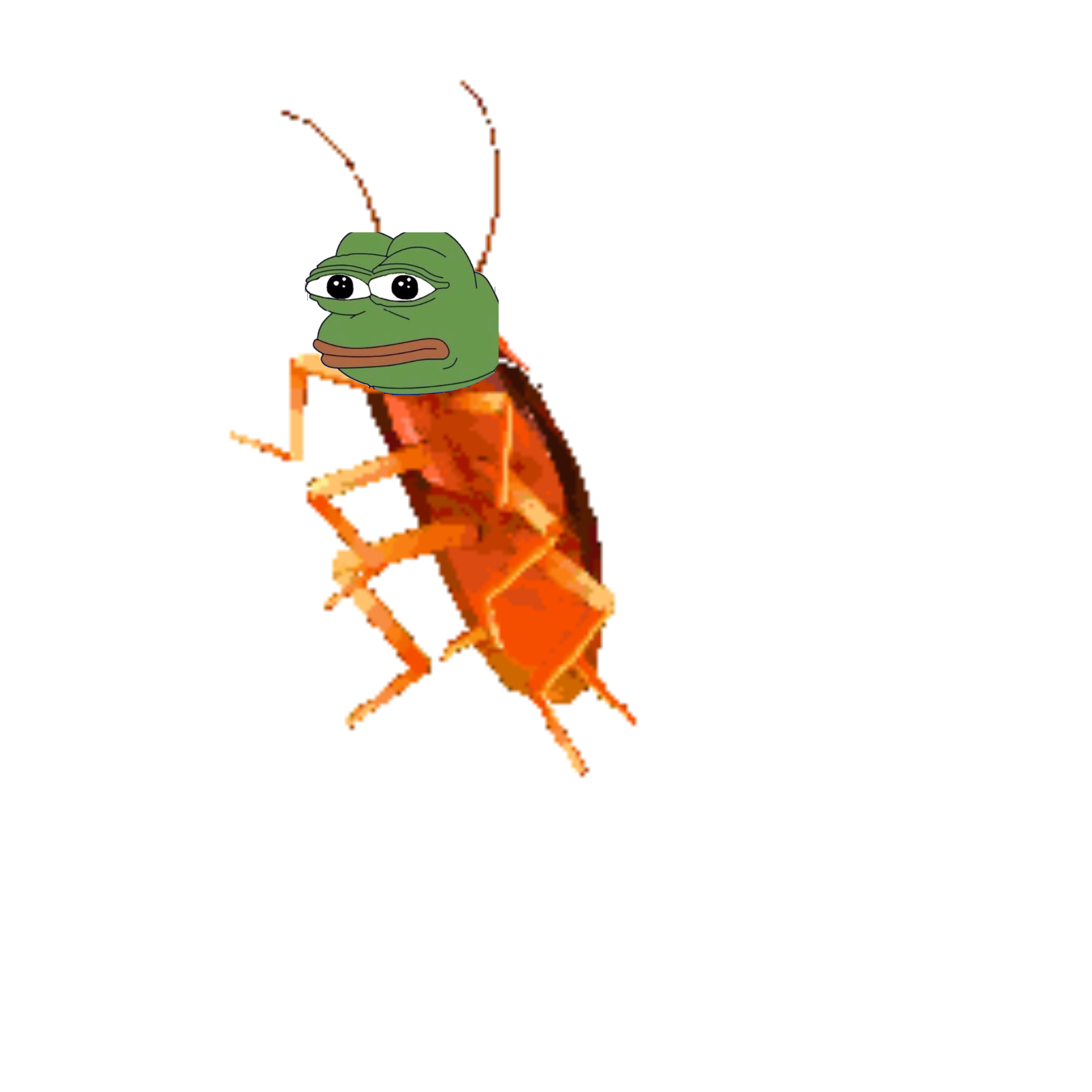 Roach PNG Isolated Clipart