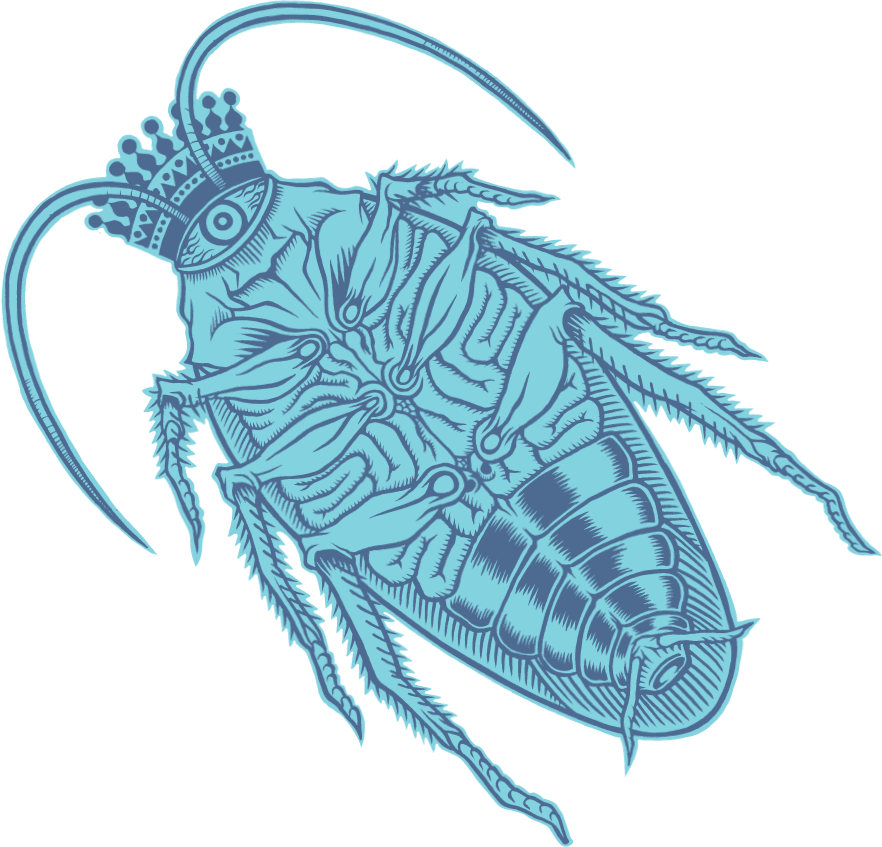 Roach PNG Isolated Transparent Picture