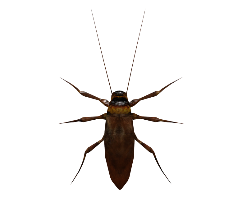 Roach Transparent PNG