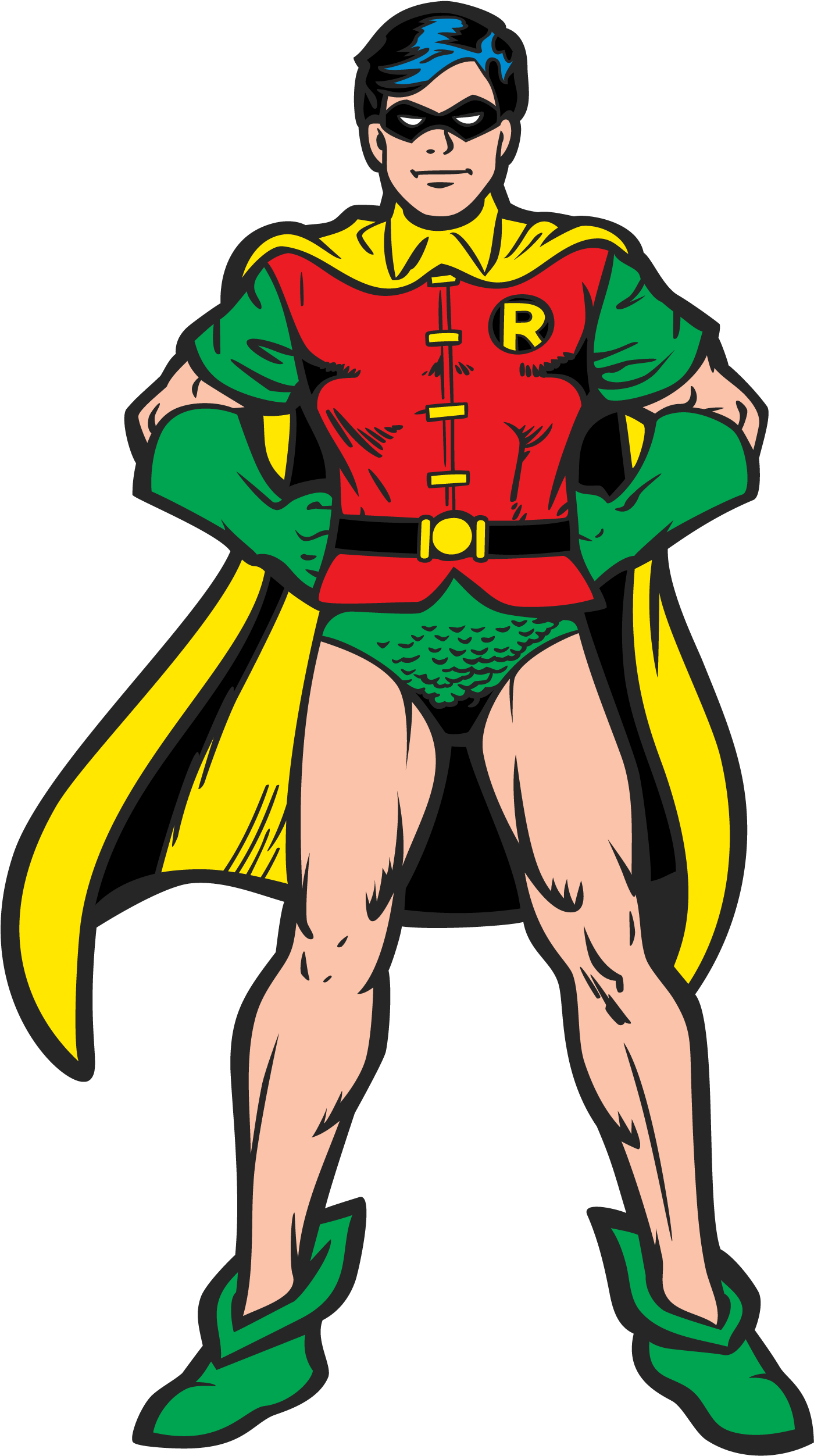 Robin PNG Isolated Pic