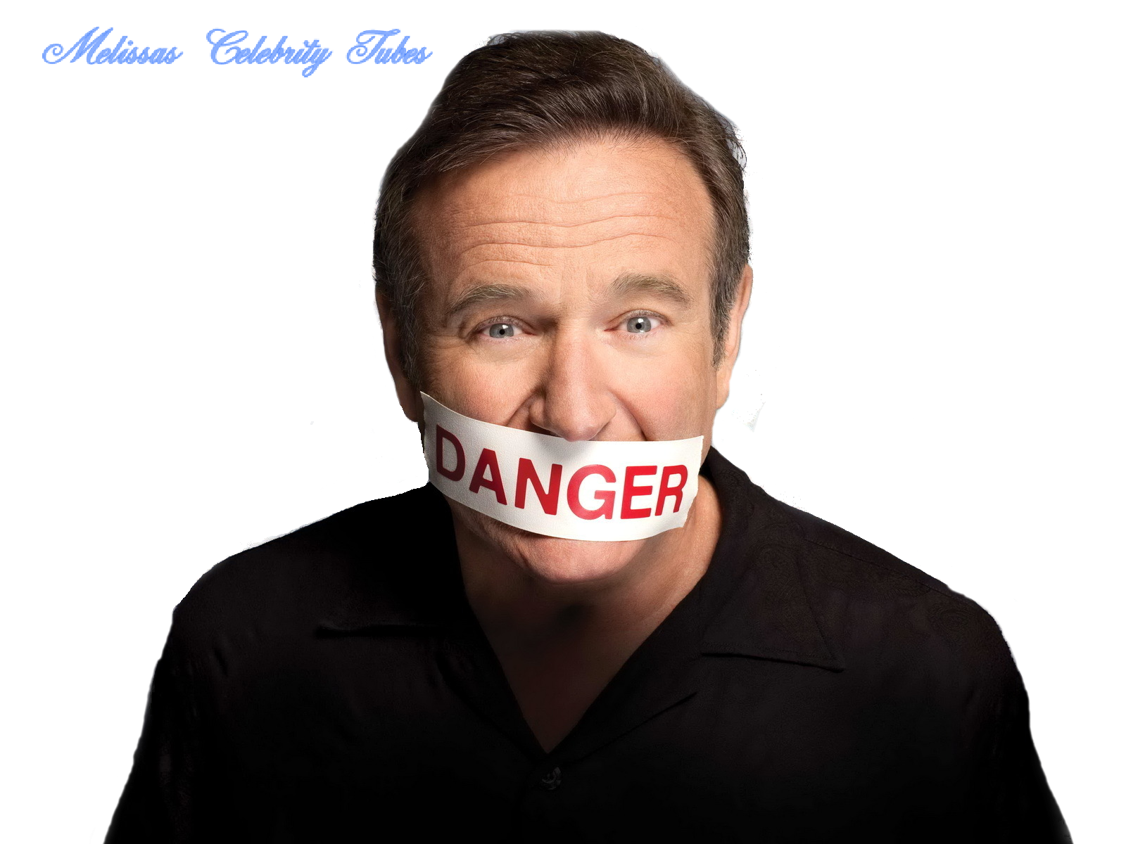 Robin Williams PNG