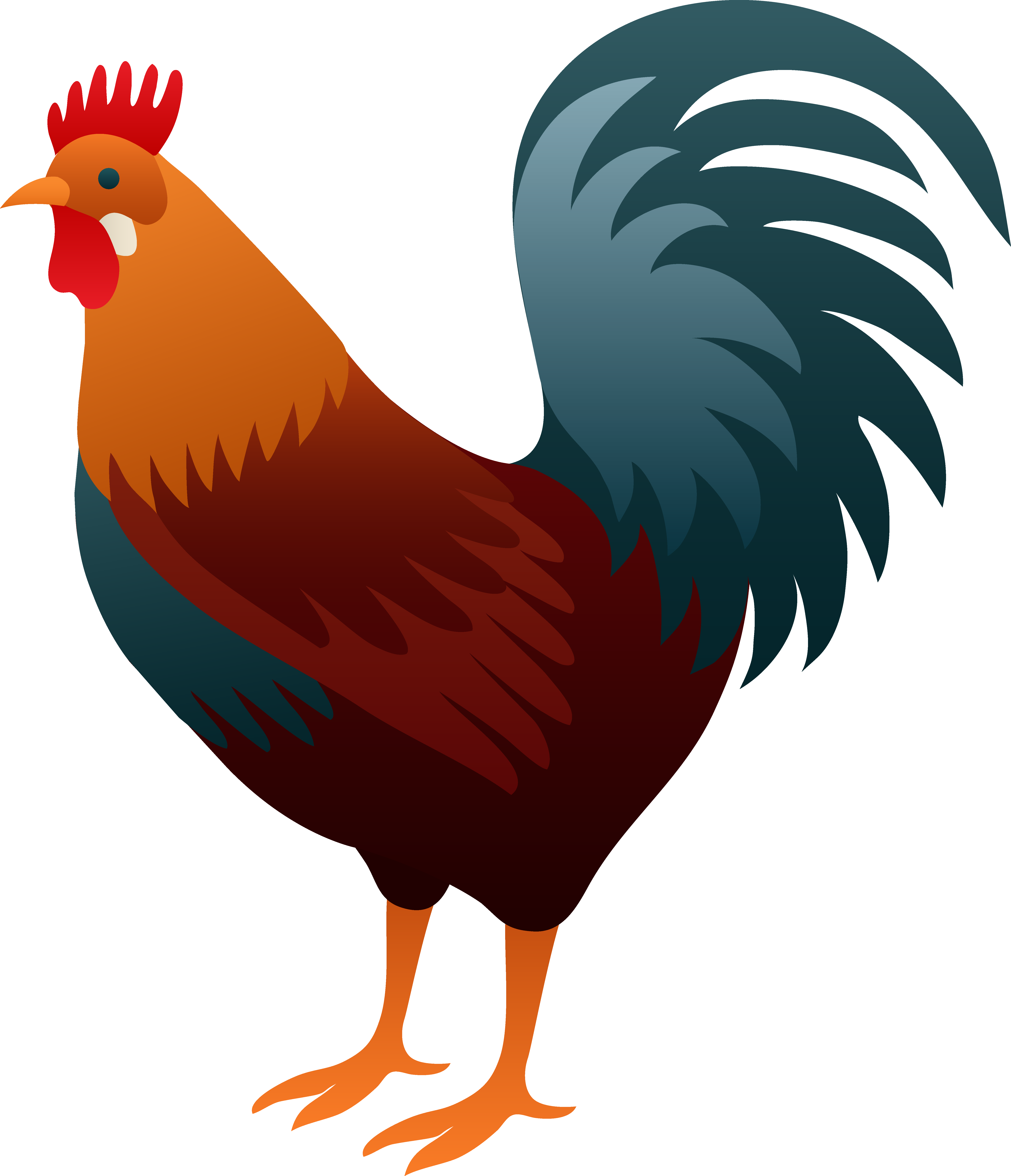 Rooster PNG Free Download