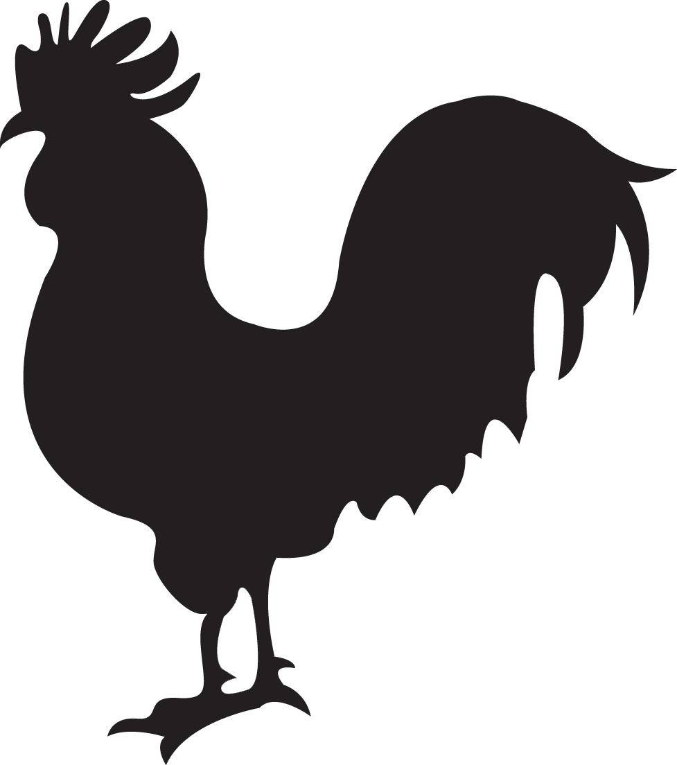 Rooster PNG Isolated Photo
