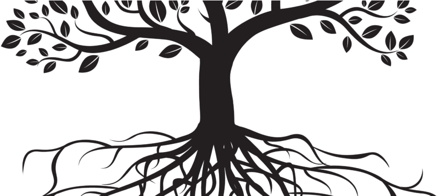 Root Download PNG Image