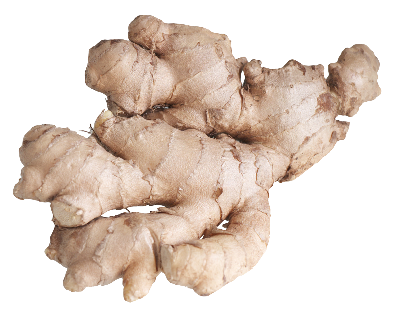 Root PNG File