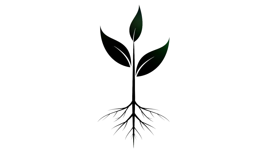 Root PNG Isolated Free Download