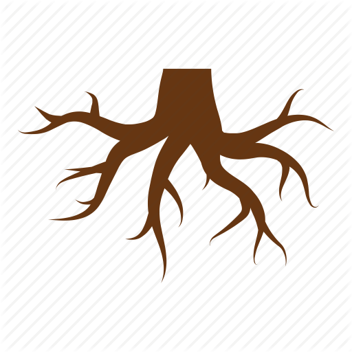 Root PNG Isolated Transparent Image