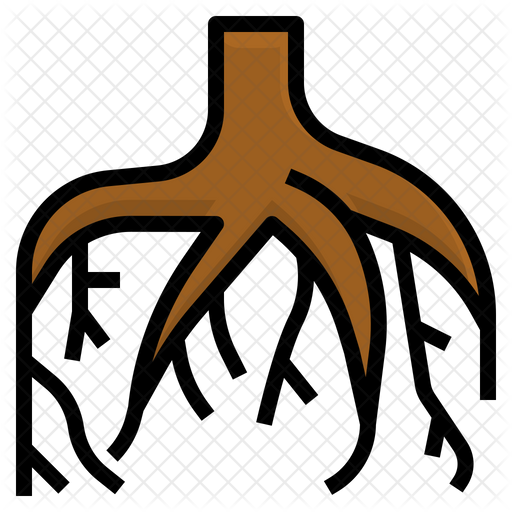Root PNG Isolated Transparent