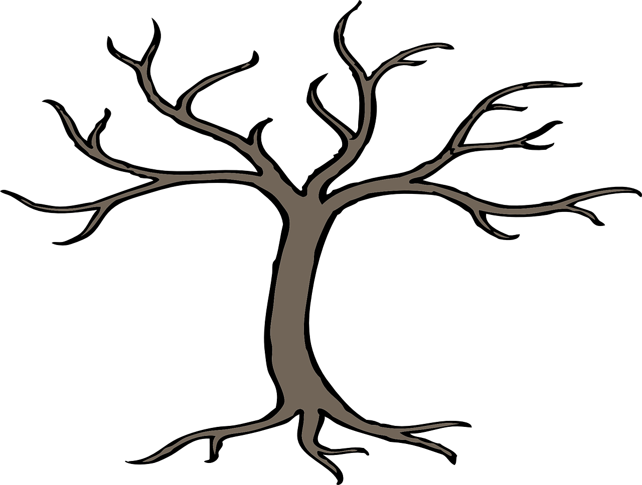 Root PNG Transparent Picture