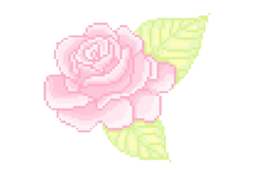 Rose Aesthetic Theme PNG Transparent