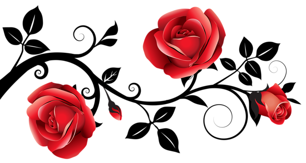 Rose Drawing PNG Clipart