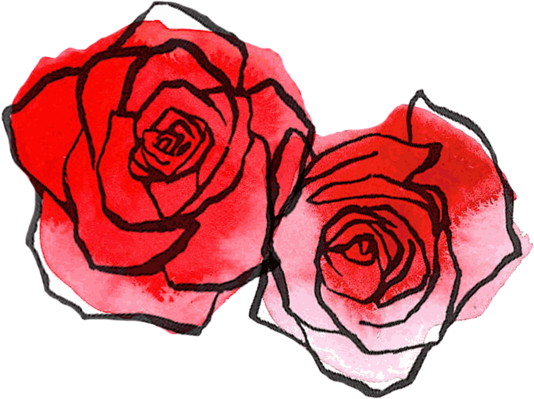 Rose Drawing PNG Free Download