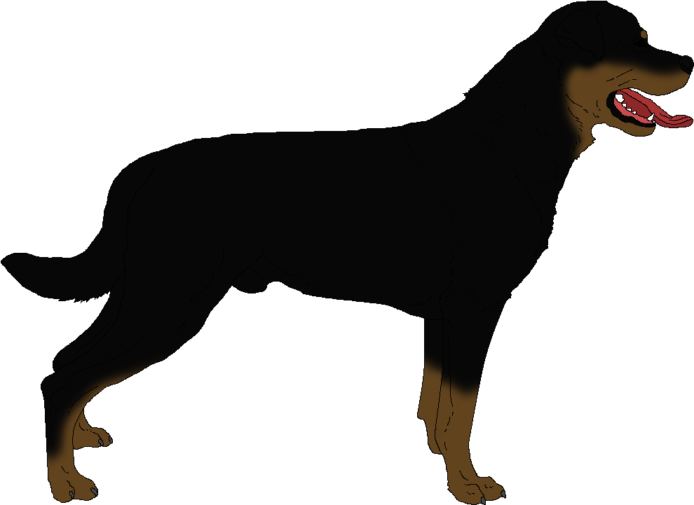 Rottweiler PNG Isolated Image
