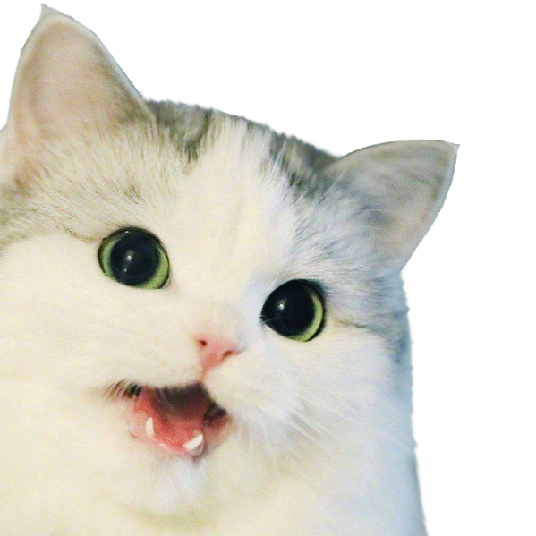 Sad Cat Meme PNG HD Isolated