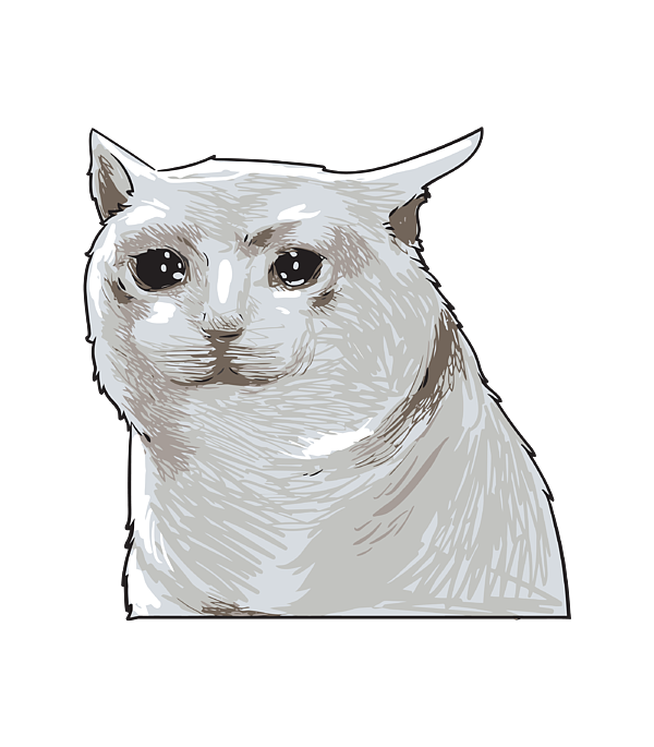 Sad Cat Meme PNG Image
