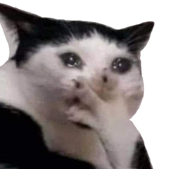 Sad Cat Meme PNG Photo