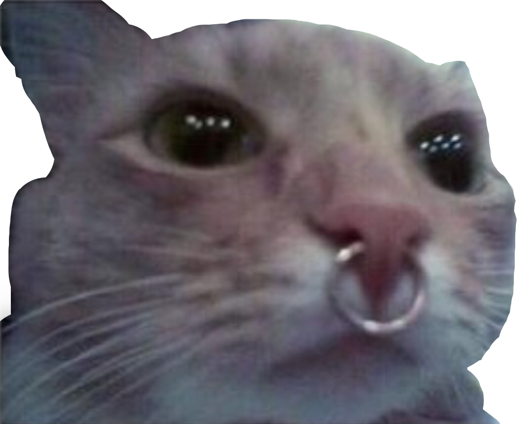 Sad Cat Memes PNG Clipart