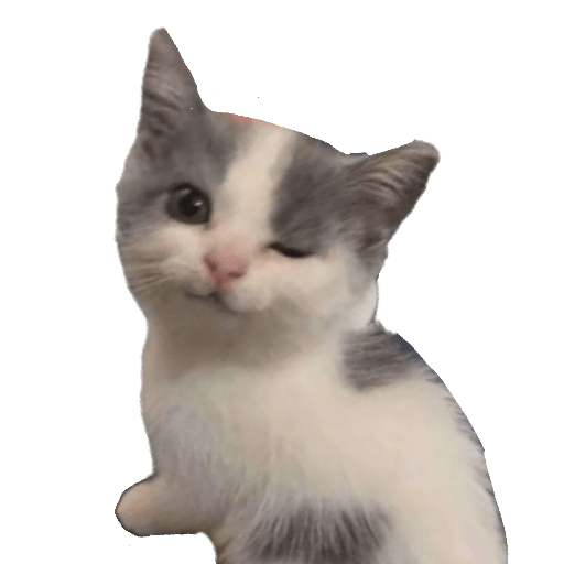 Sad Cat Memes PNG File