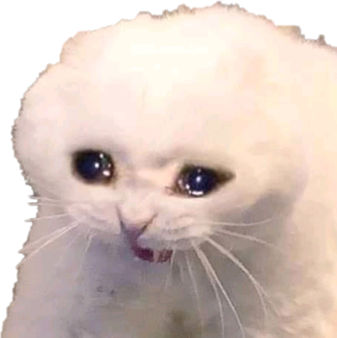 Sad Cat Memes PNG Isolated Pic