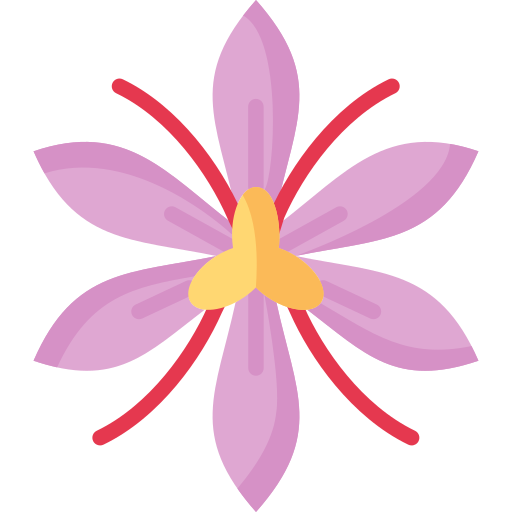 Saffron PNG HD Isolated