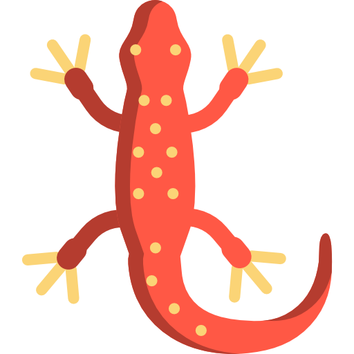 Salamanders PNG Picture