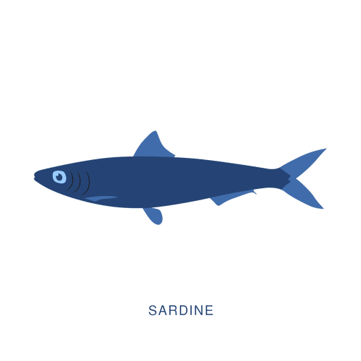 Sardines PNG Transparent